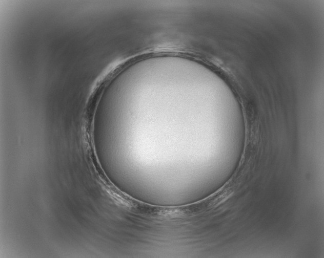 X0000060551454200511101524