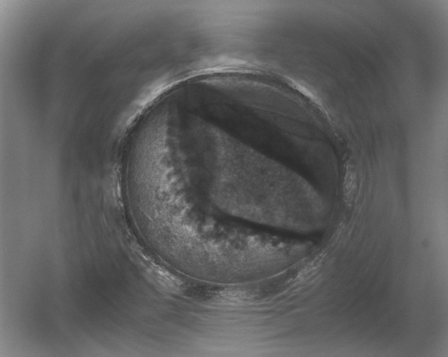 X0000060551455200511101524