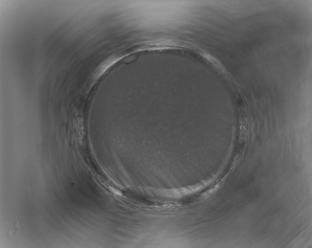 X0000060551457200511101524