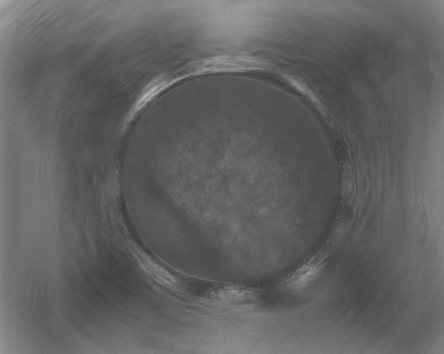 X0000060551459200511101524