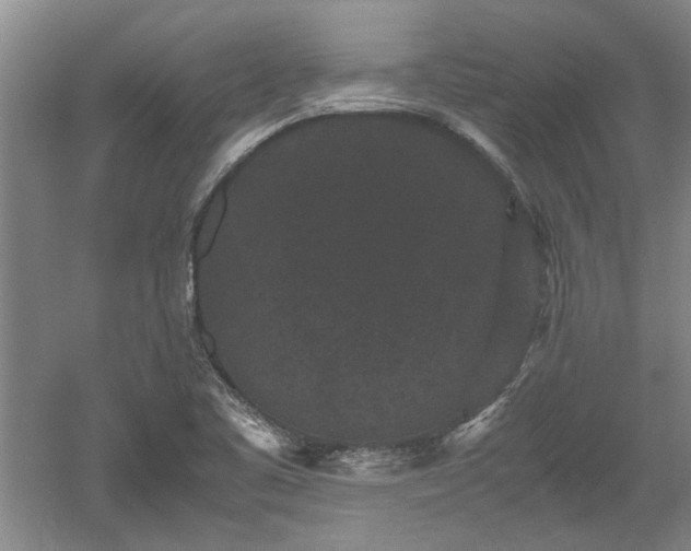 X0000060551461200511101524