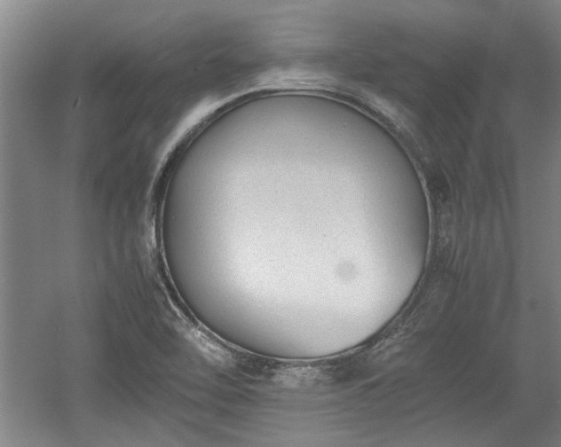 X0000060551462200511101524