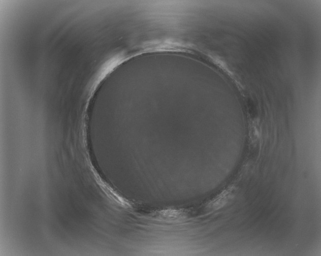 X0000060551463200511101524