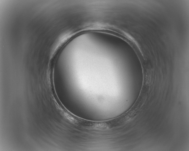 X0000060551464200511101524