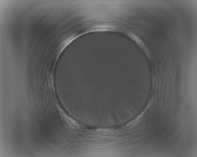 X0000060551465200511101524