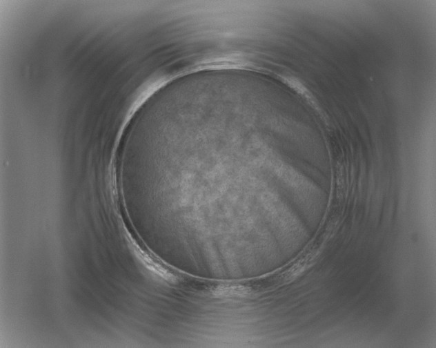 X0000060551466200511101524