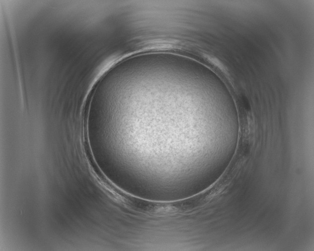 X0000060551467200511101524