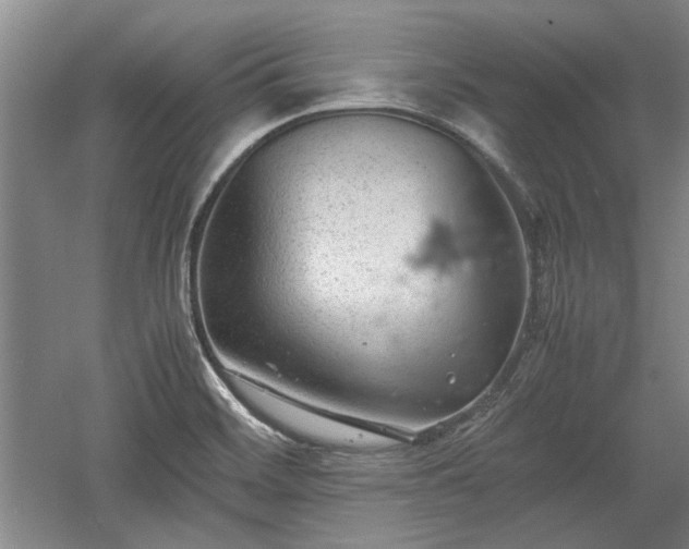 X0000060551468200511101524