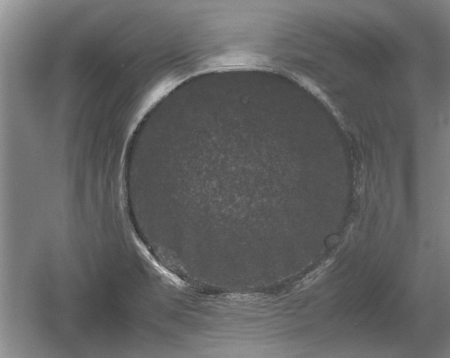 X0000060551469200511101524