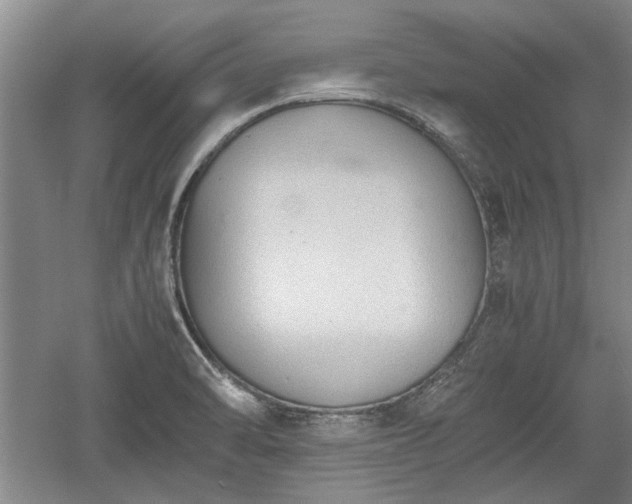 X0000060551470200511101524