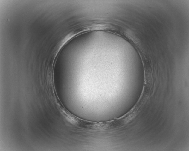 X0000060551473200511101524