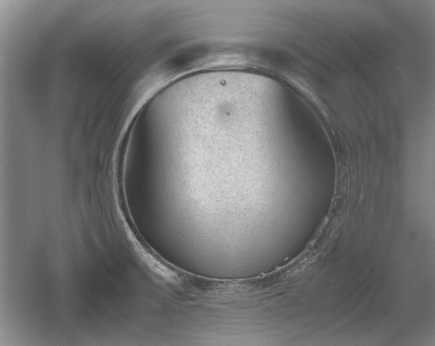 X0000060551475200511101524