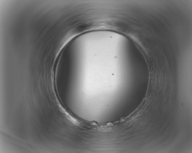 X0000060551476200511101524