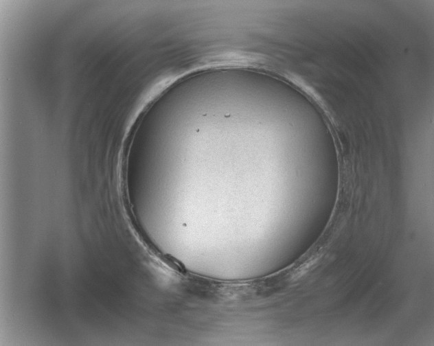 X0000060551477200511101524