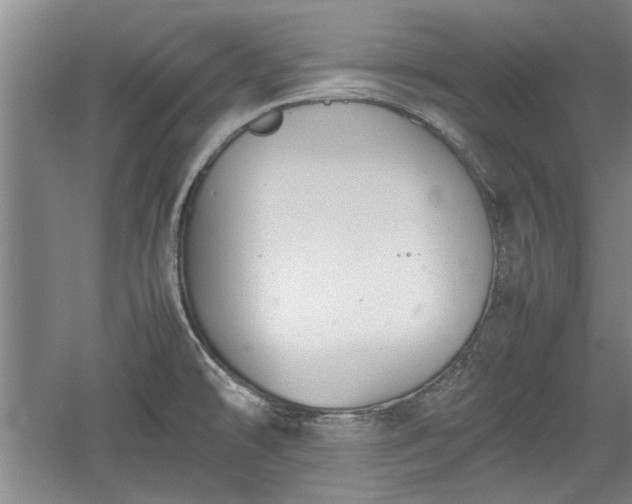 X0000060551478200511101524