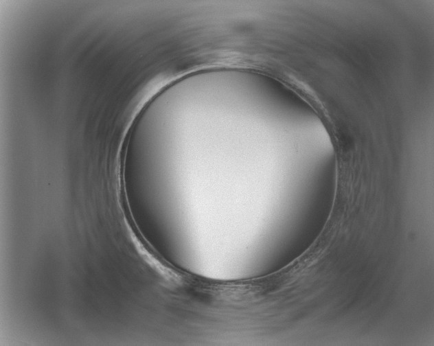 X0000060551479200511101524