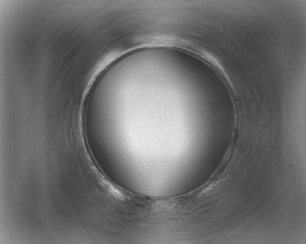 X0000060551480200511101524