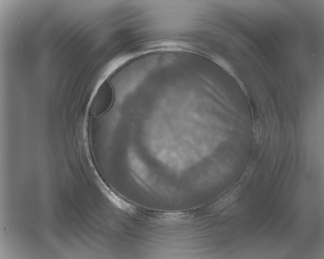 X0000060551482200511101524