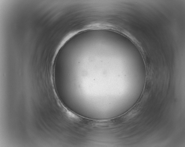 X0000060551486200511101524