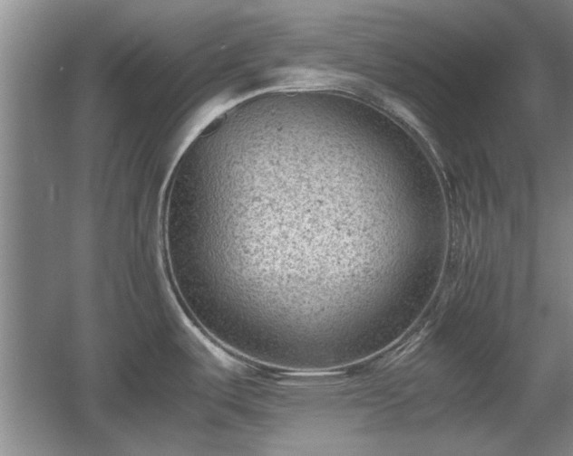 X0000060551487200511101524