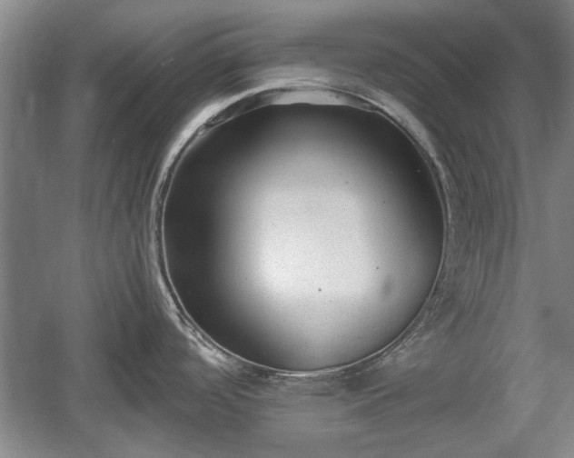 X0000060551488200511101524