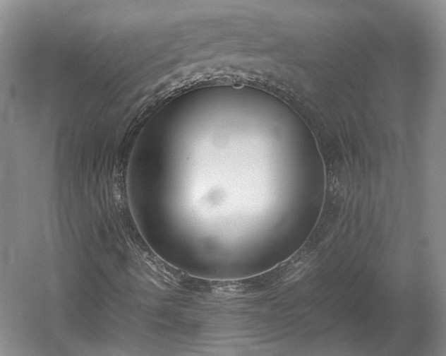 X0000060551490200511101523