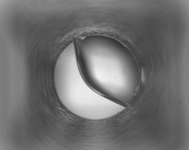 X0000060551492200511101523