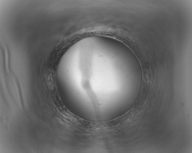 X0000060551493200511101523