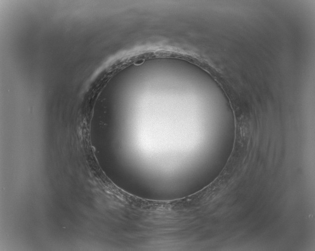 X0000060551495200511101523