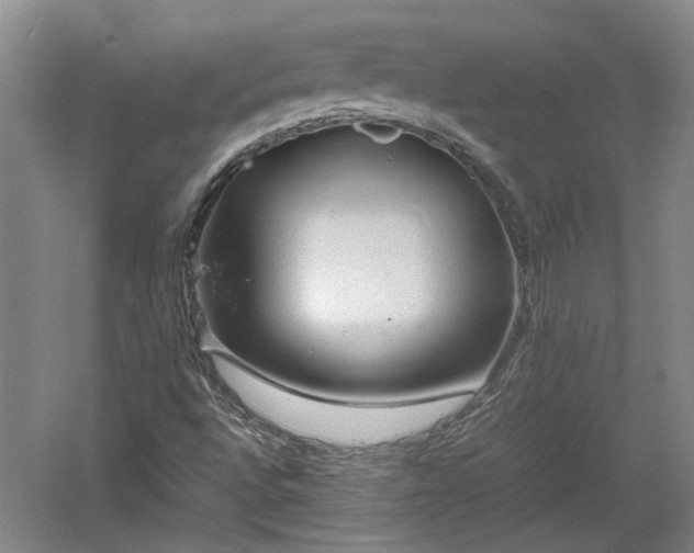 X0000060551496200511101523