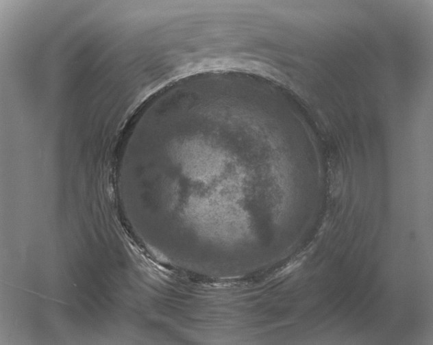 X0000060551497200511101523