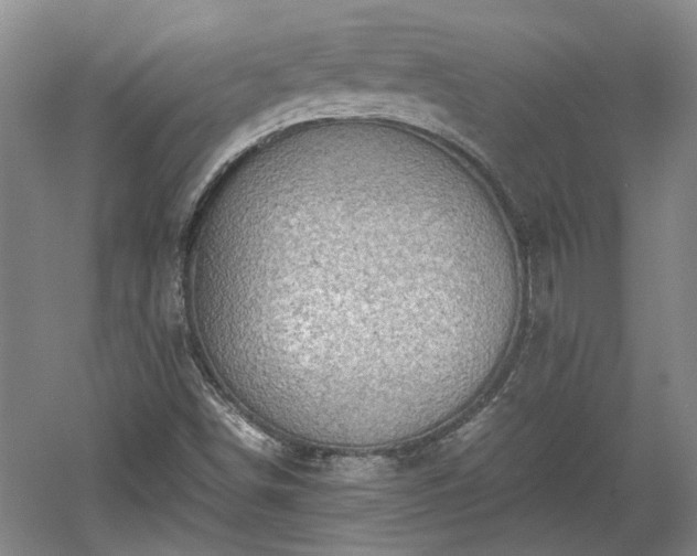 X0000060551498200511101523