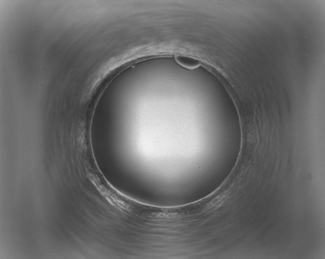 X0000060551499200511101523