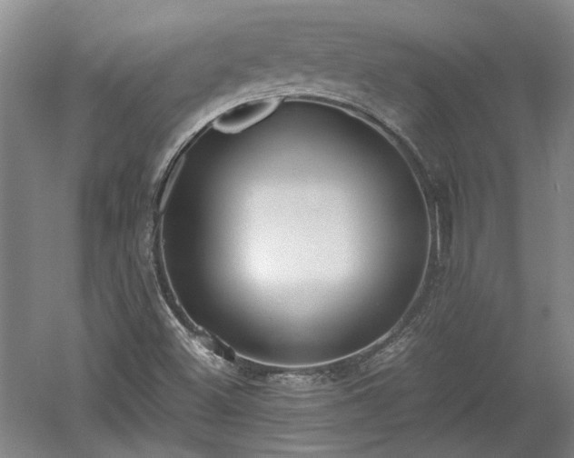 X0000060551500200511101523