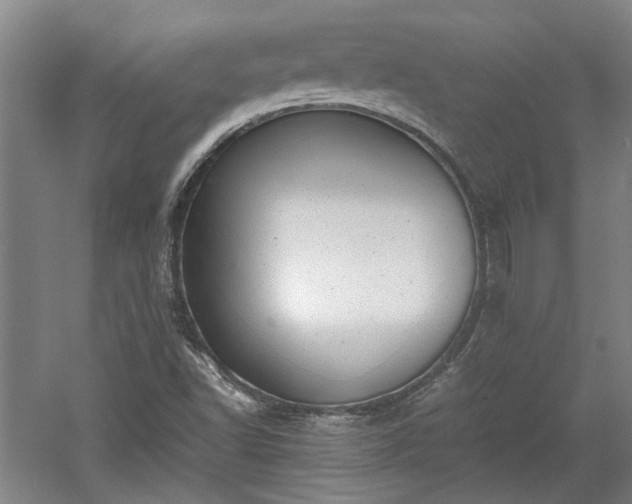 X0000060551502200511101523