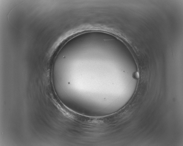 X0000060551503200511101523