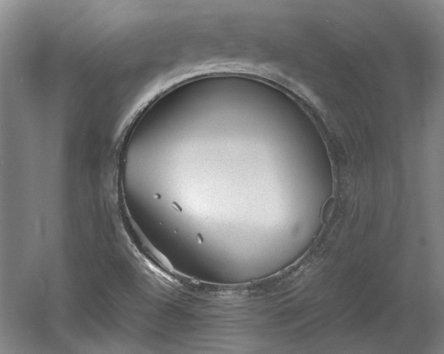 X0000060551504200511101523