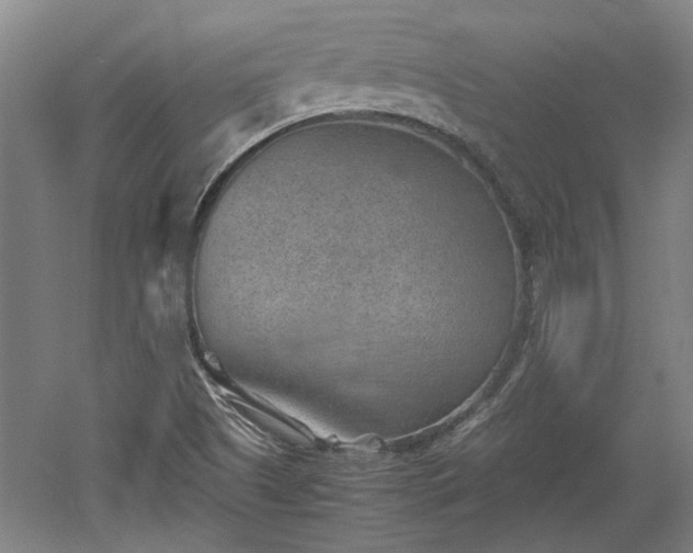 X0000060551505200511101523