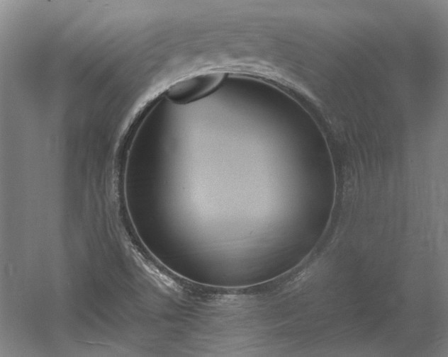 X0000060551506200511101523