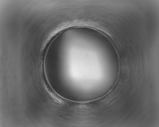 X0000060551507200511101523