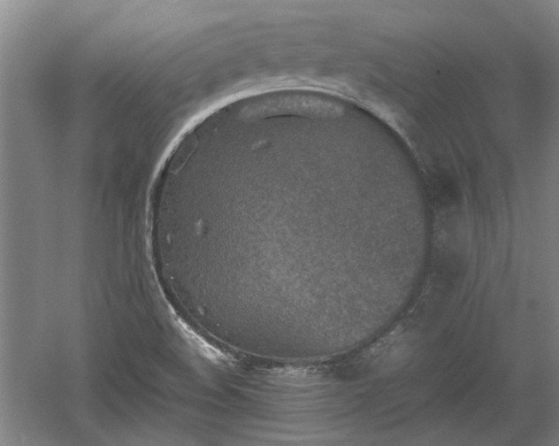 X0000060551508200511101523