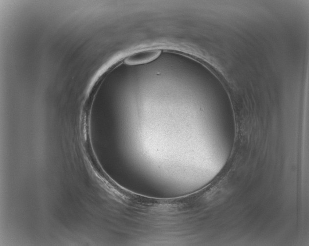 X0000060551510200511101523