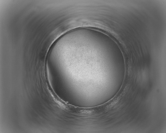 X0000060551513200511101523