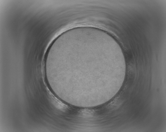 X0000060551514200511101523