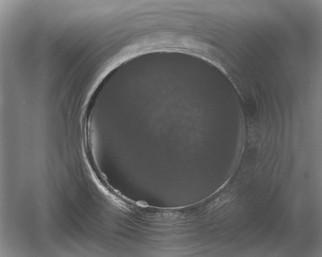 X0000060551515200511101523