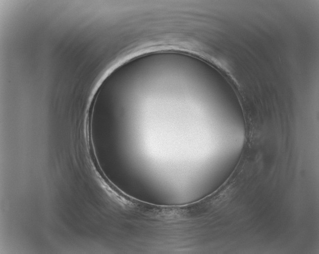 X0000060551516200511101523