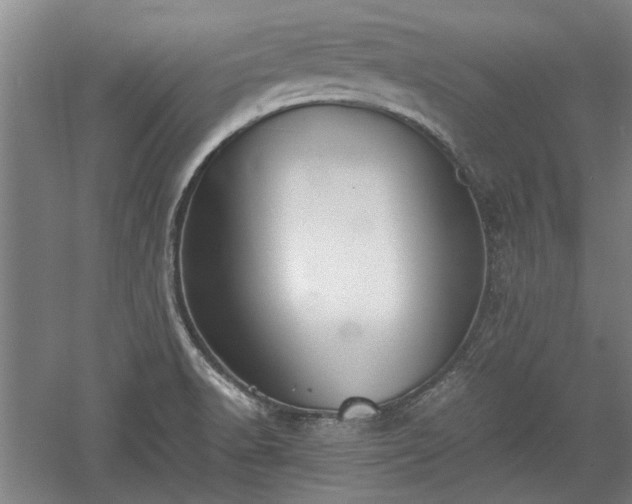 X0000060551518200511101523