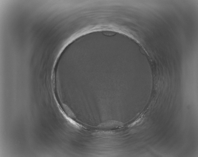 X0000060551519200511101524