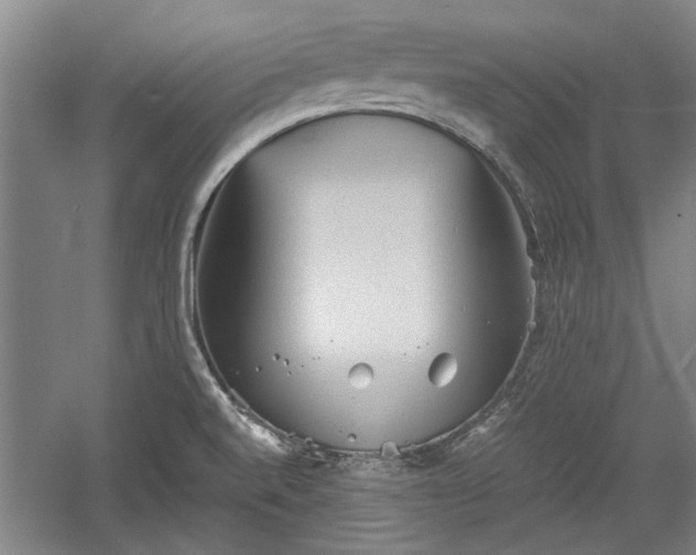 X0000060551520200511101524