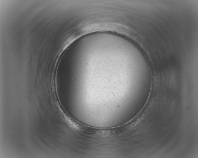 X0000060551521200511101524